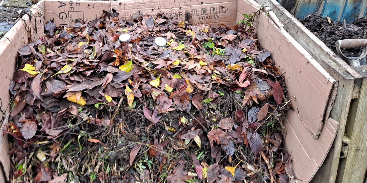 leaf pile